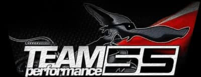 Team Performance 55