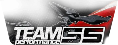 Team Performance 55